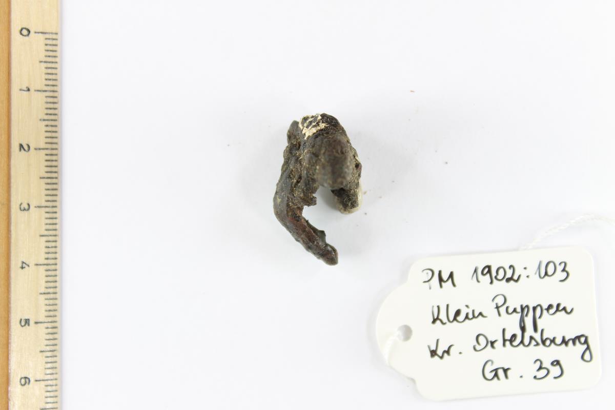 Fibelfragment