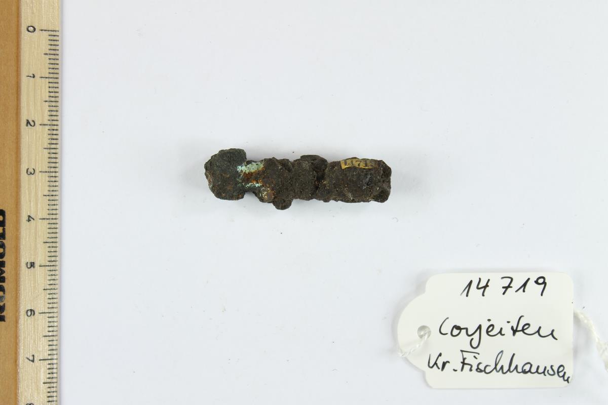 Fibelfragment
