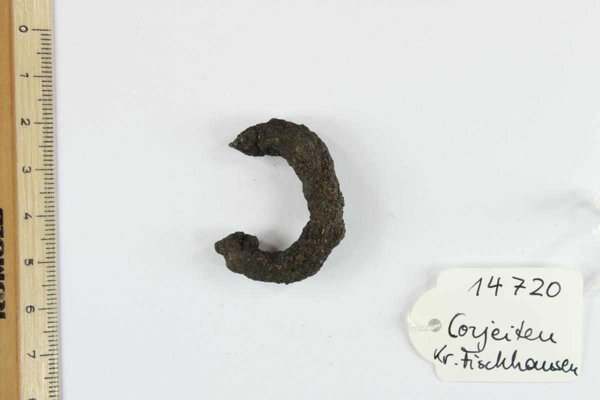 Gürtelschnallenfragment