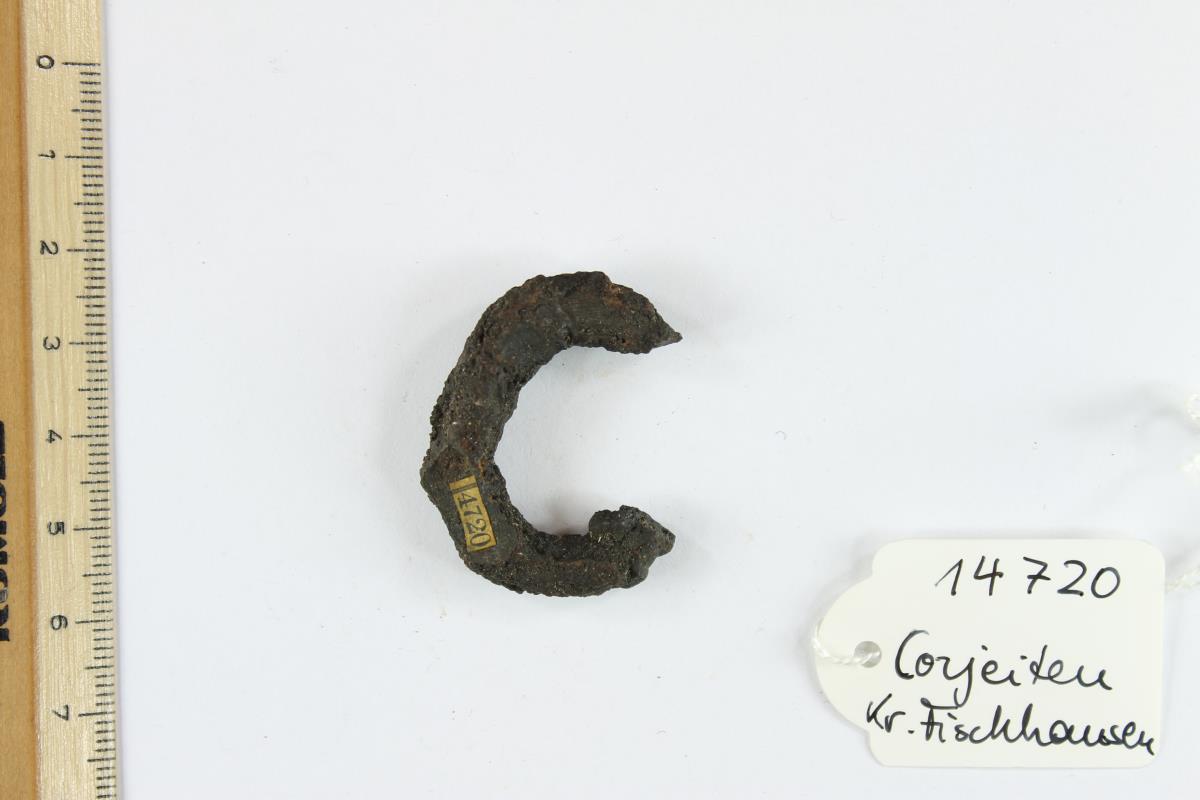 Gürtelschnallenfragment