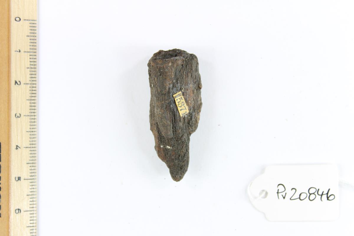 Lanzenspitzenfragment