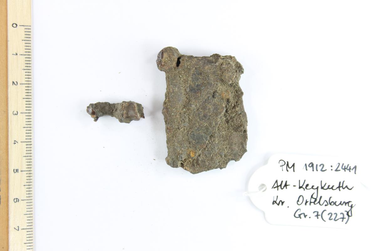 Gürtelschnallenfragment
