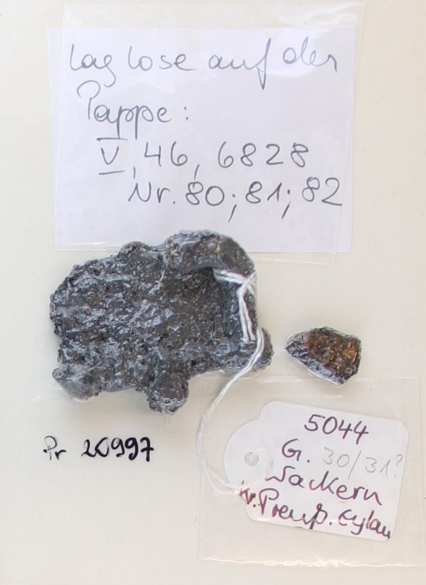Gürtelschnallenfragment