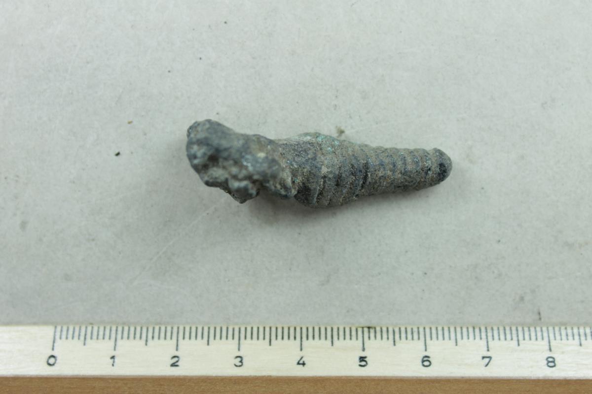 Fibelfragment