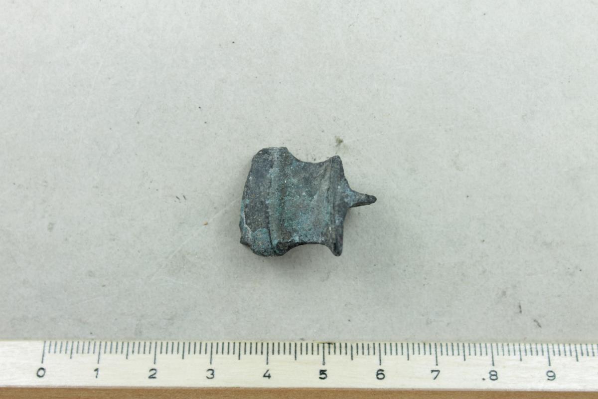 Fibelfragment