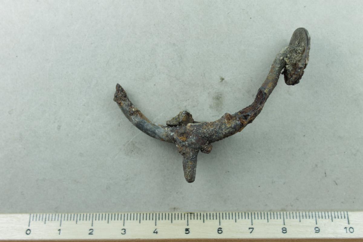 Reitsporn