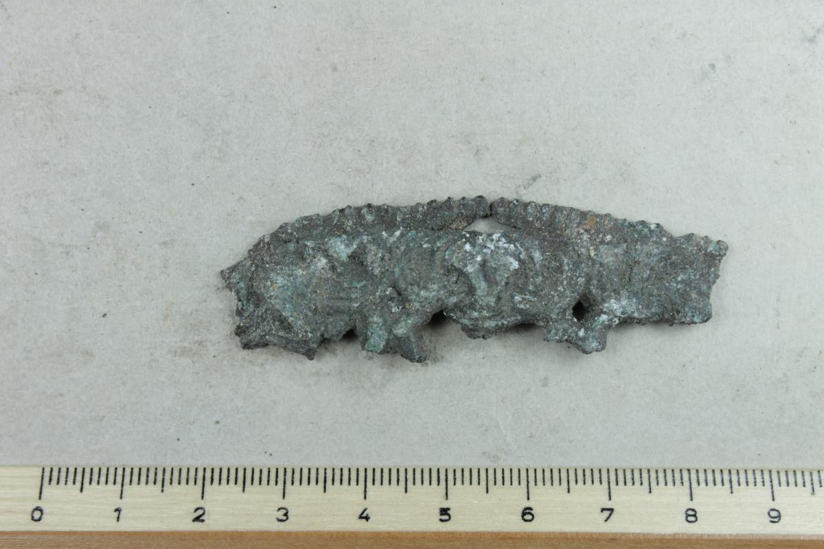 Schalenfibel