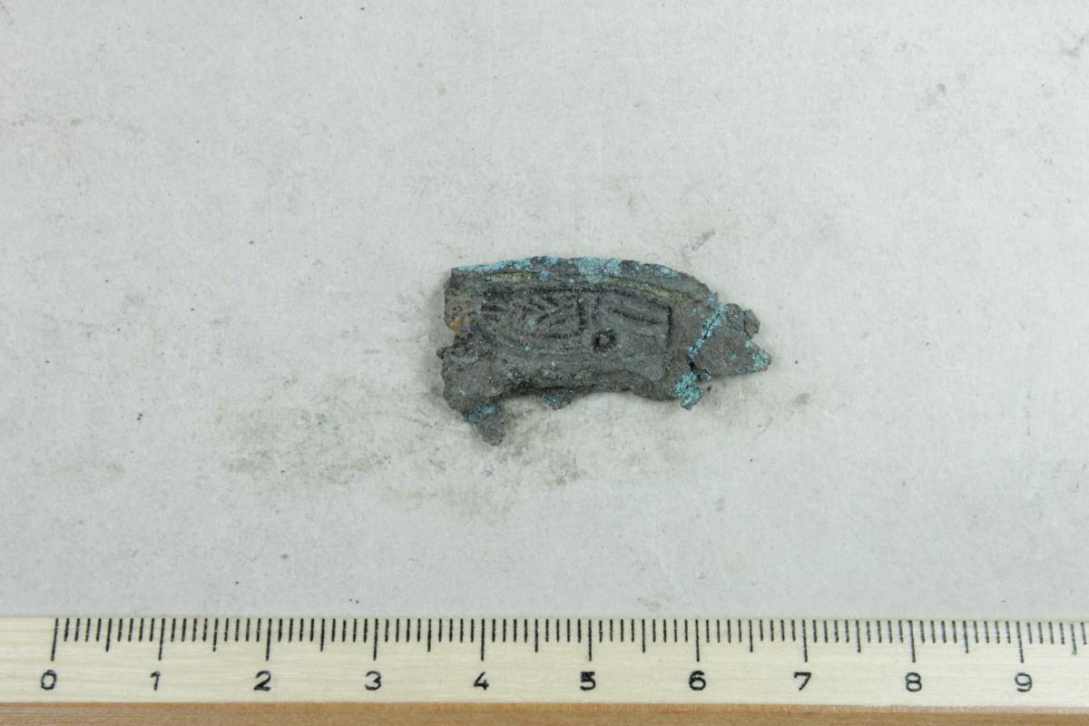 Schalenfibel