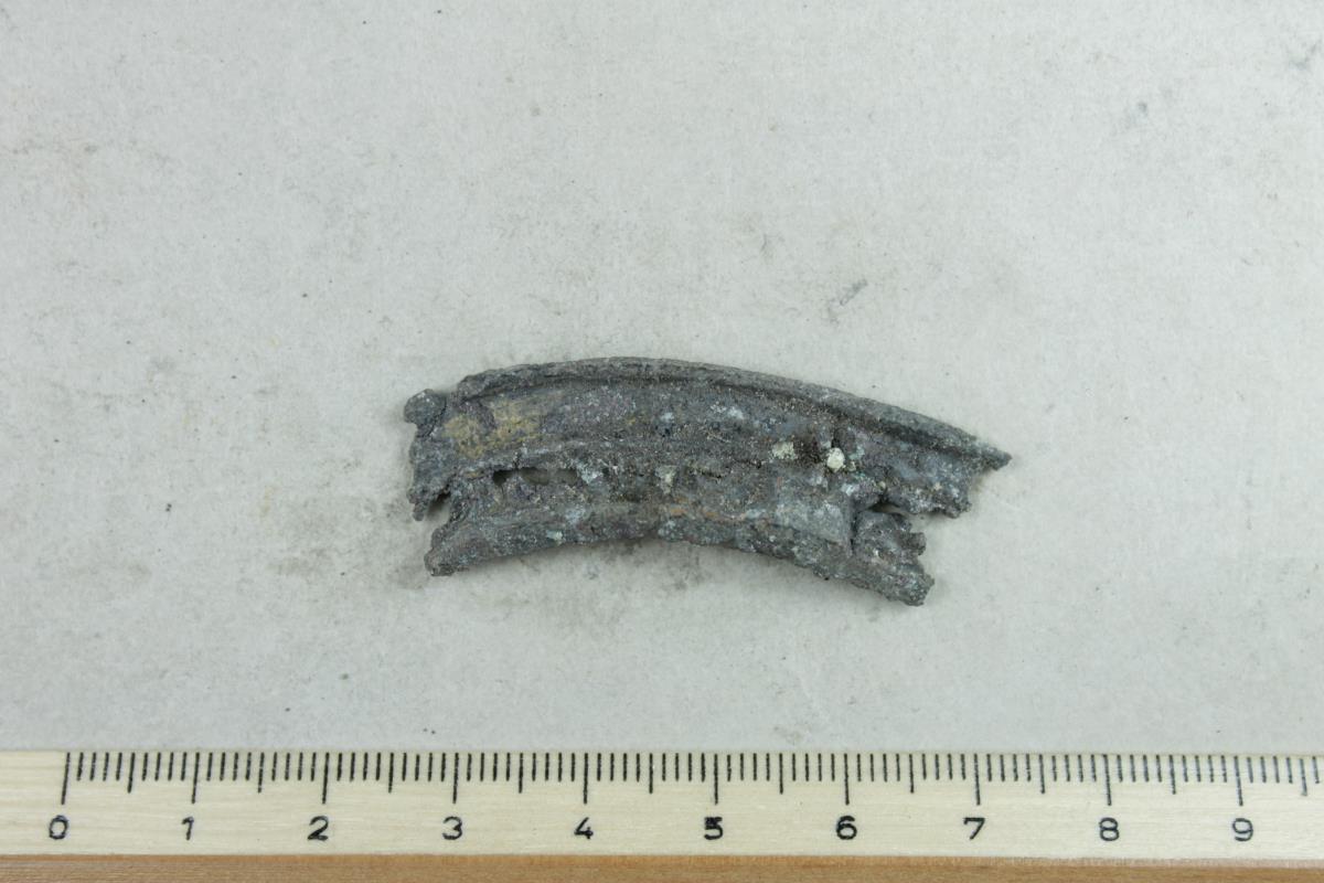 Schalenfibel
