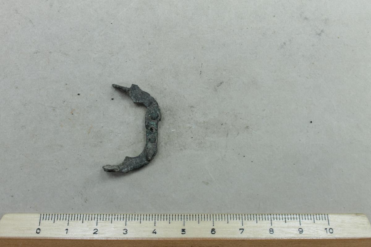 Armbrustsprossenfibel