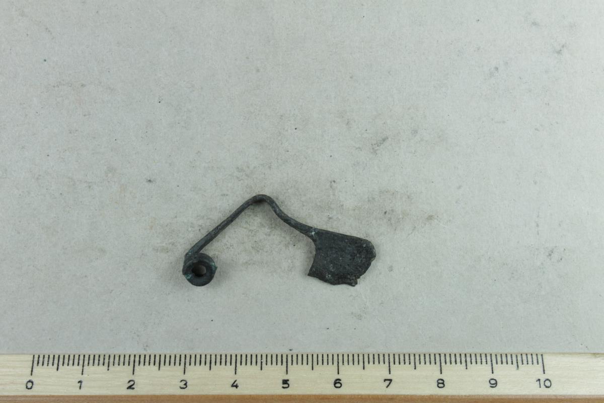 Armbrustfibel