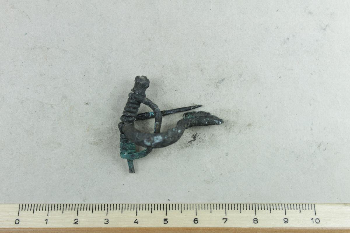 Armbrustfibel