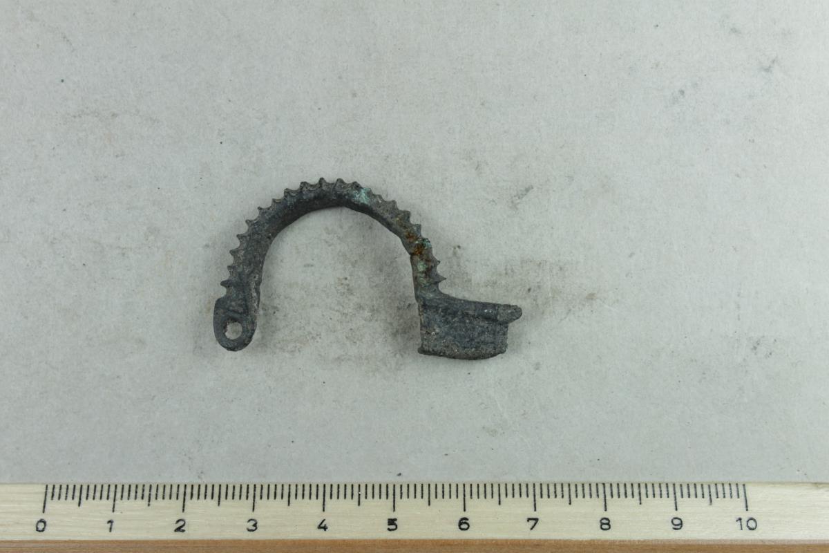 Armbrustfibel