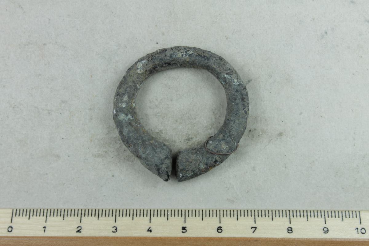 Hufeisenfibel