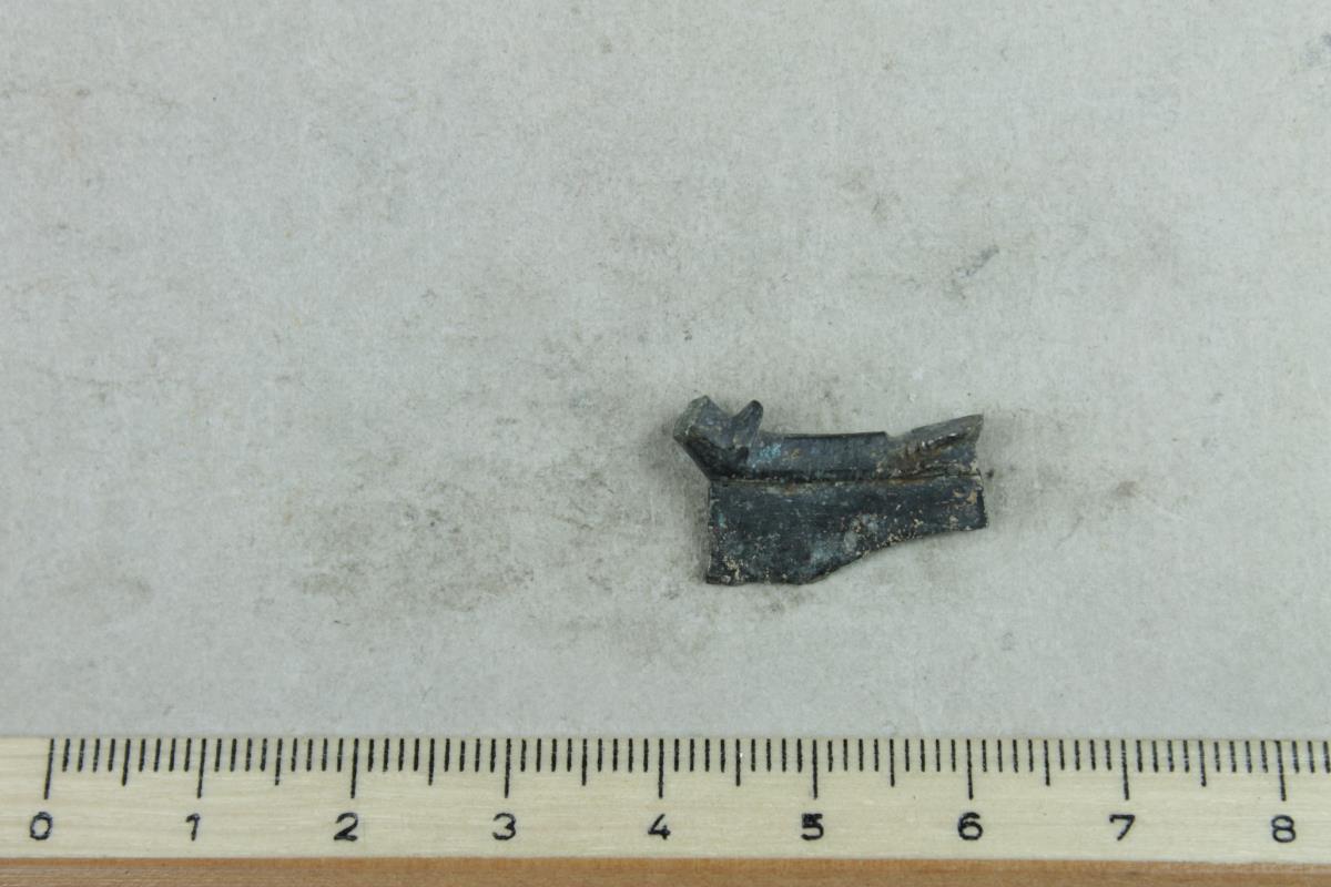 Fibelfragment