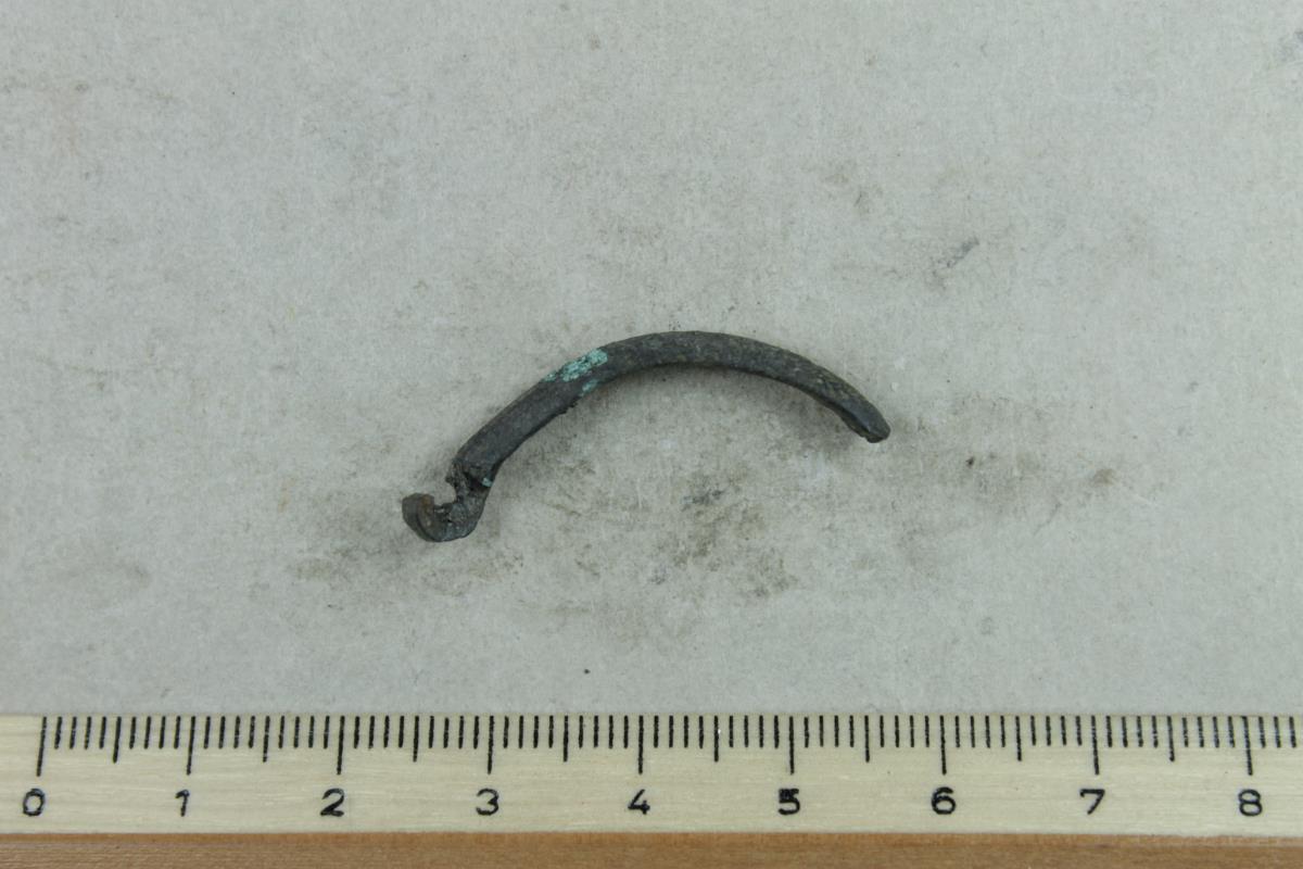 Fibelfragment