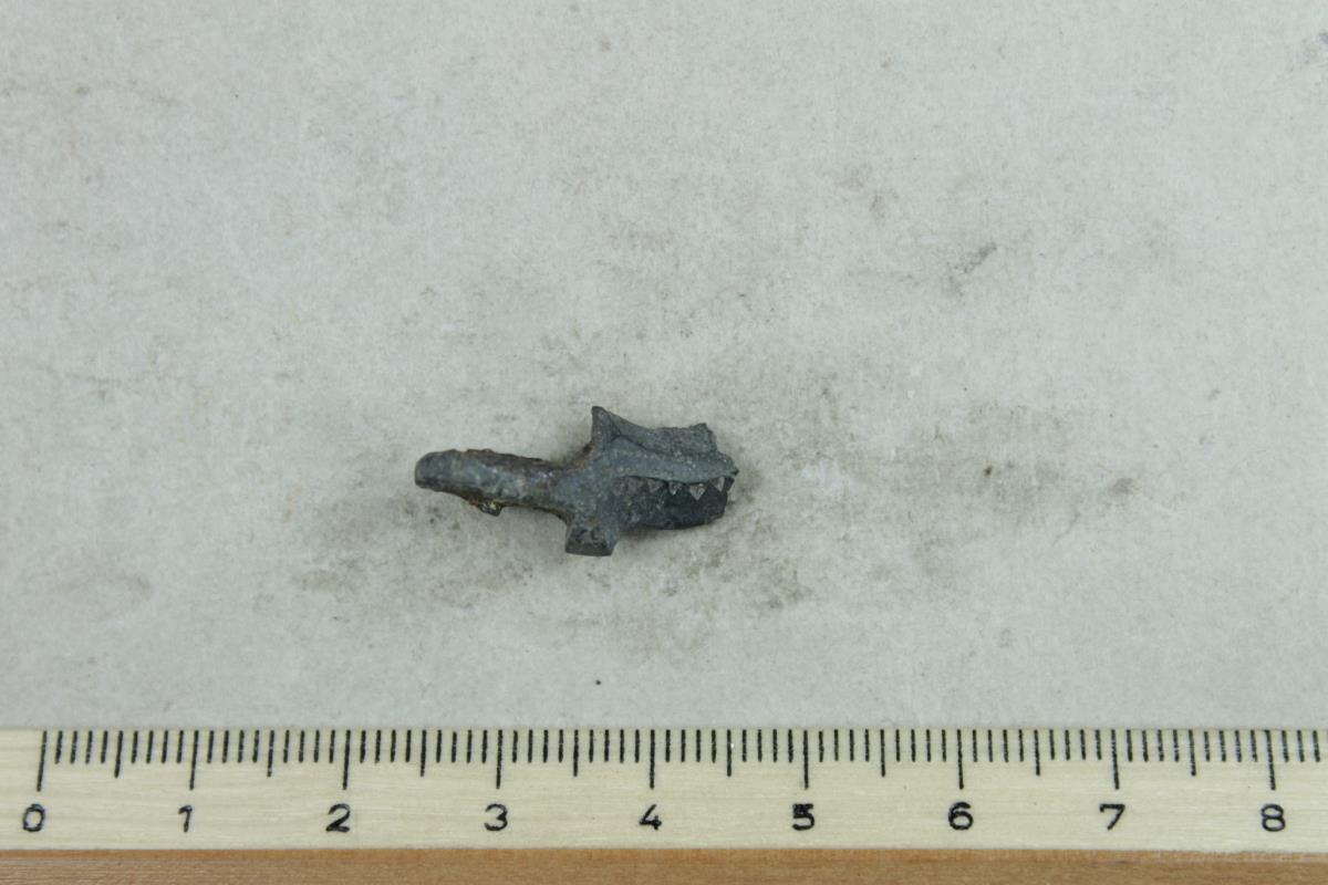 Fibelfragment