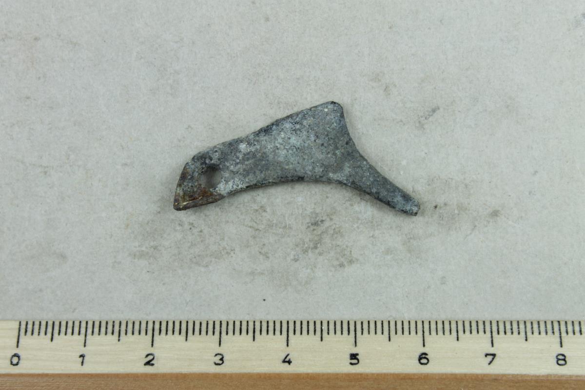 Fibelfragment