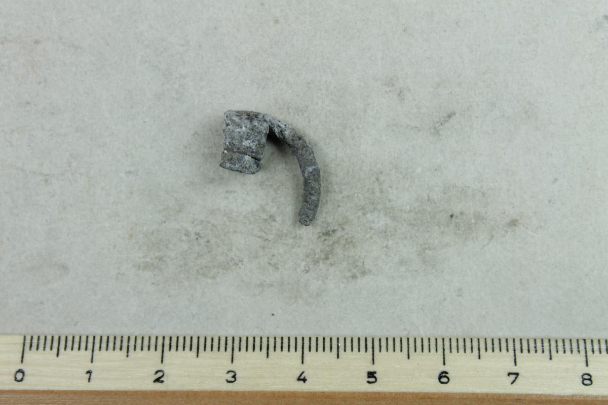 Fibelfragment
