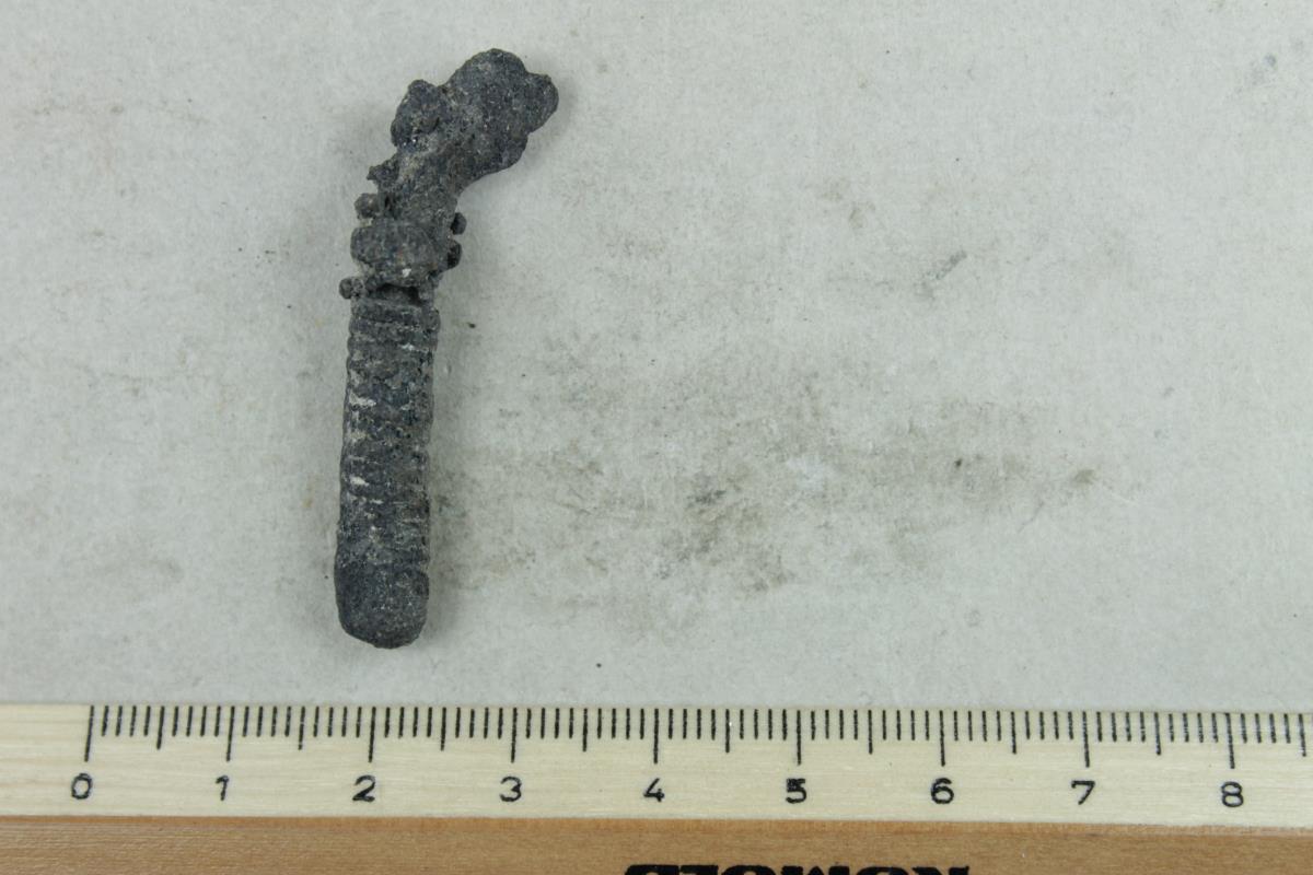 Fibelfragment