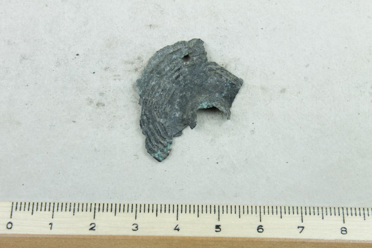 Scheibenfibel
