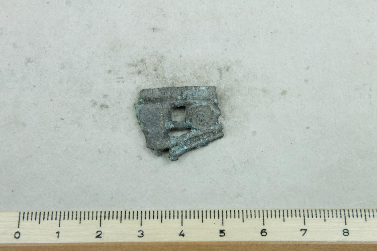 Schalenfibel