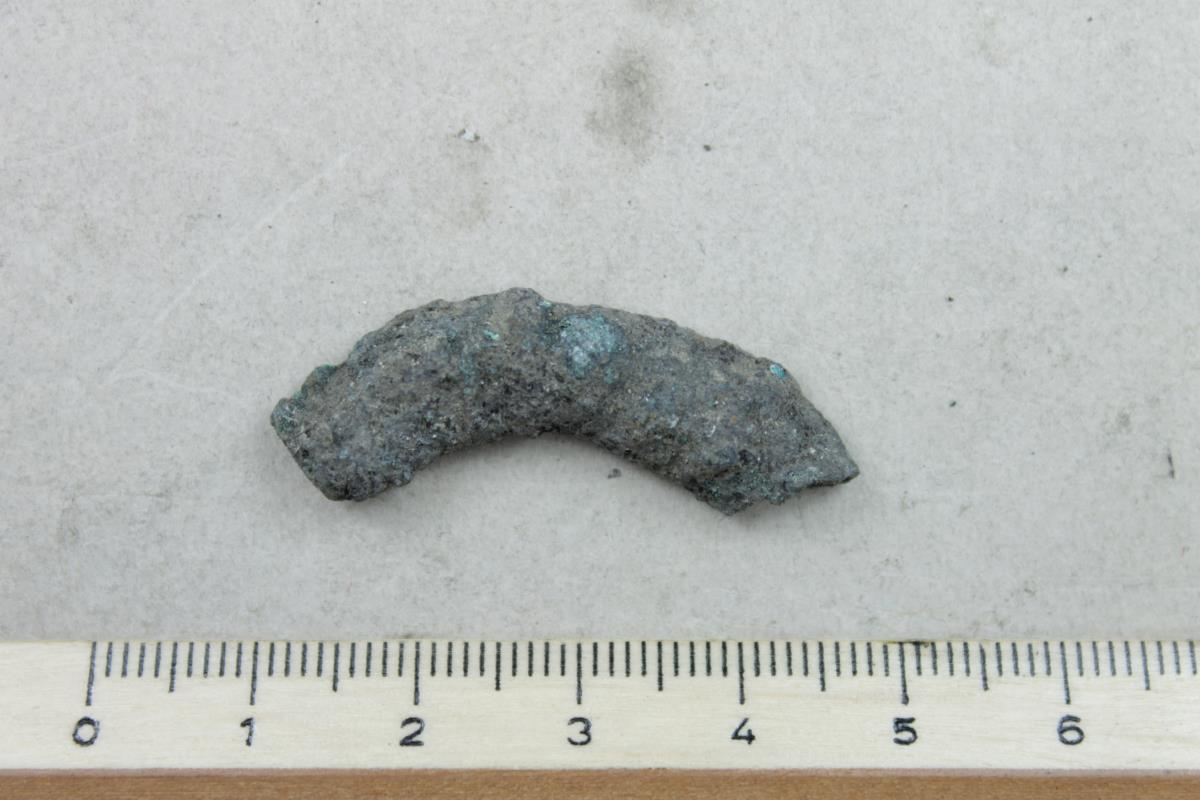Fibelfragment