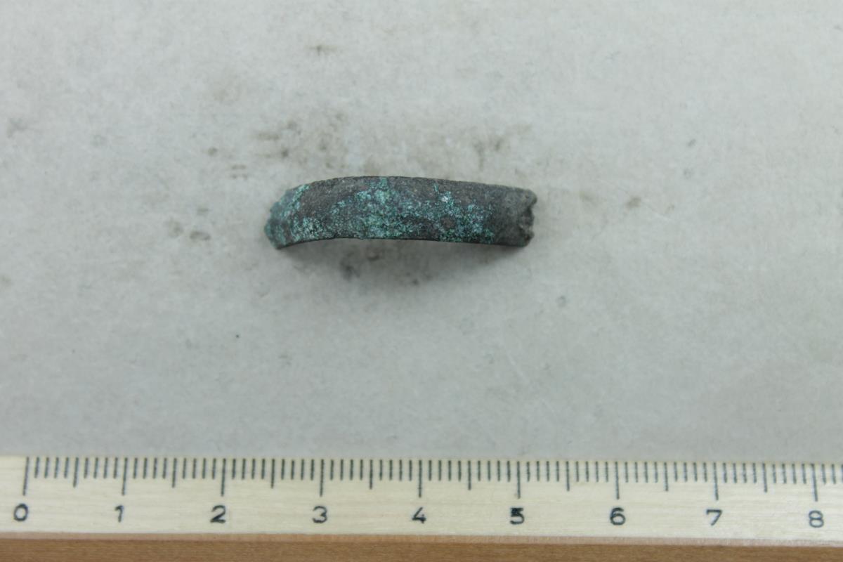 Fingerring