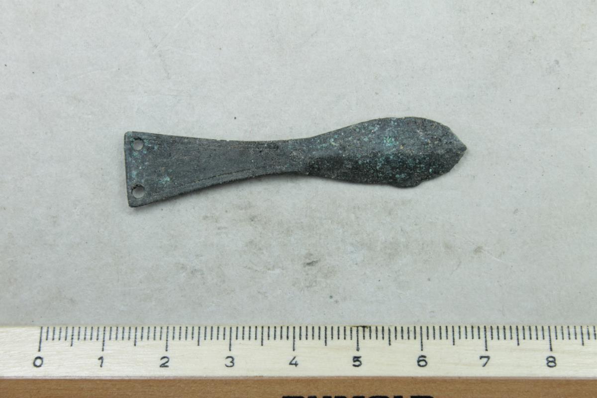 Riemenzunge