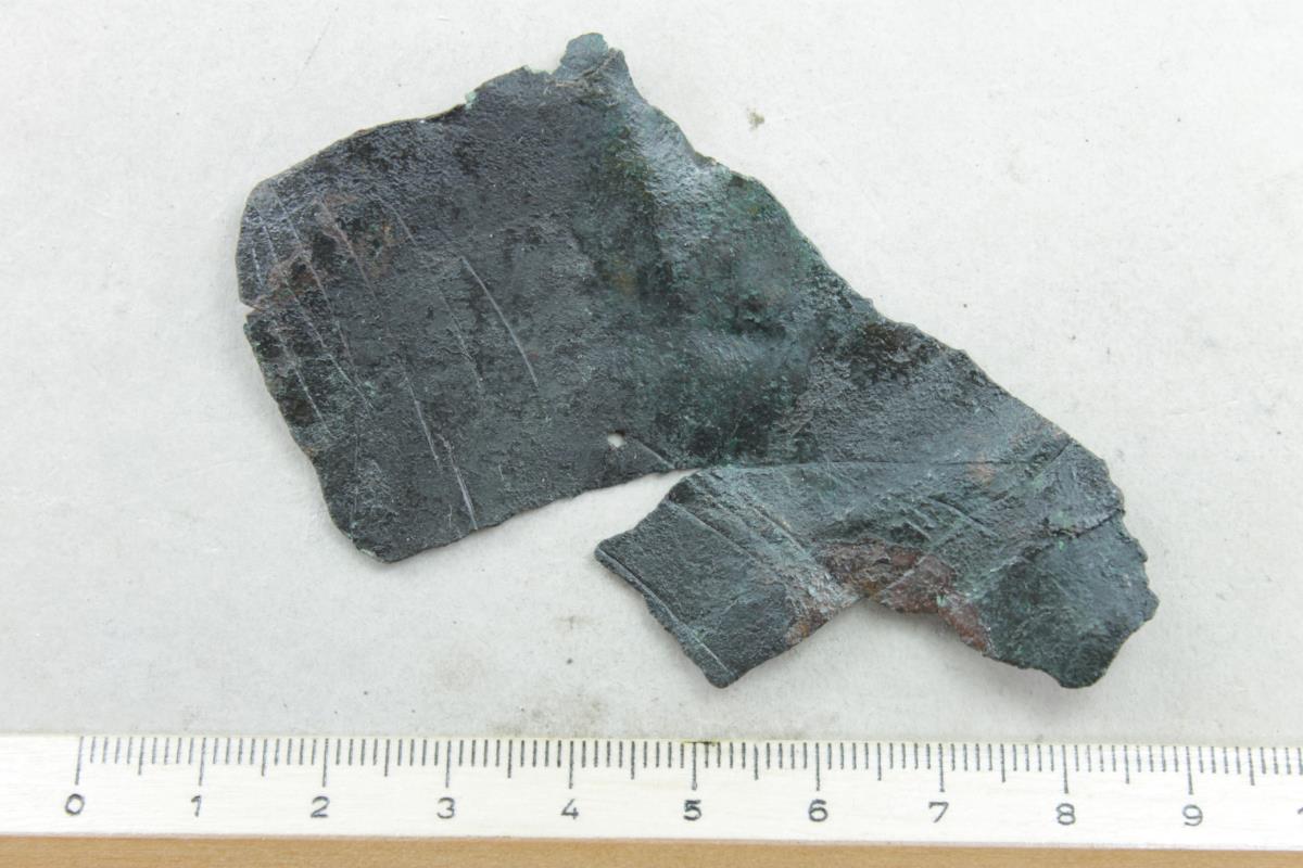 Schalenfragment