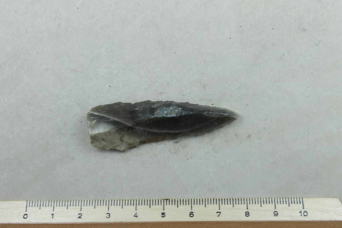 Silex