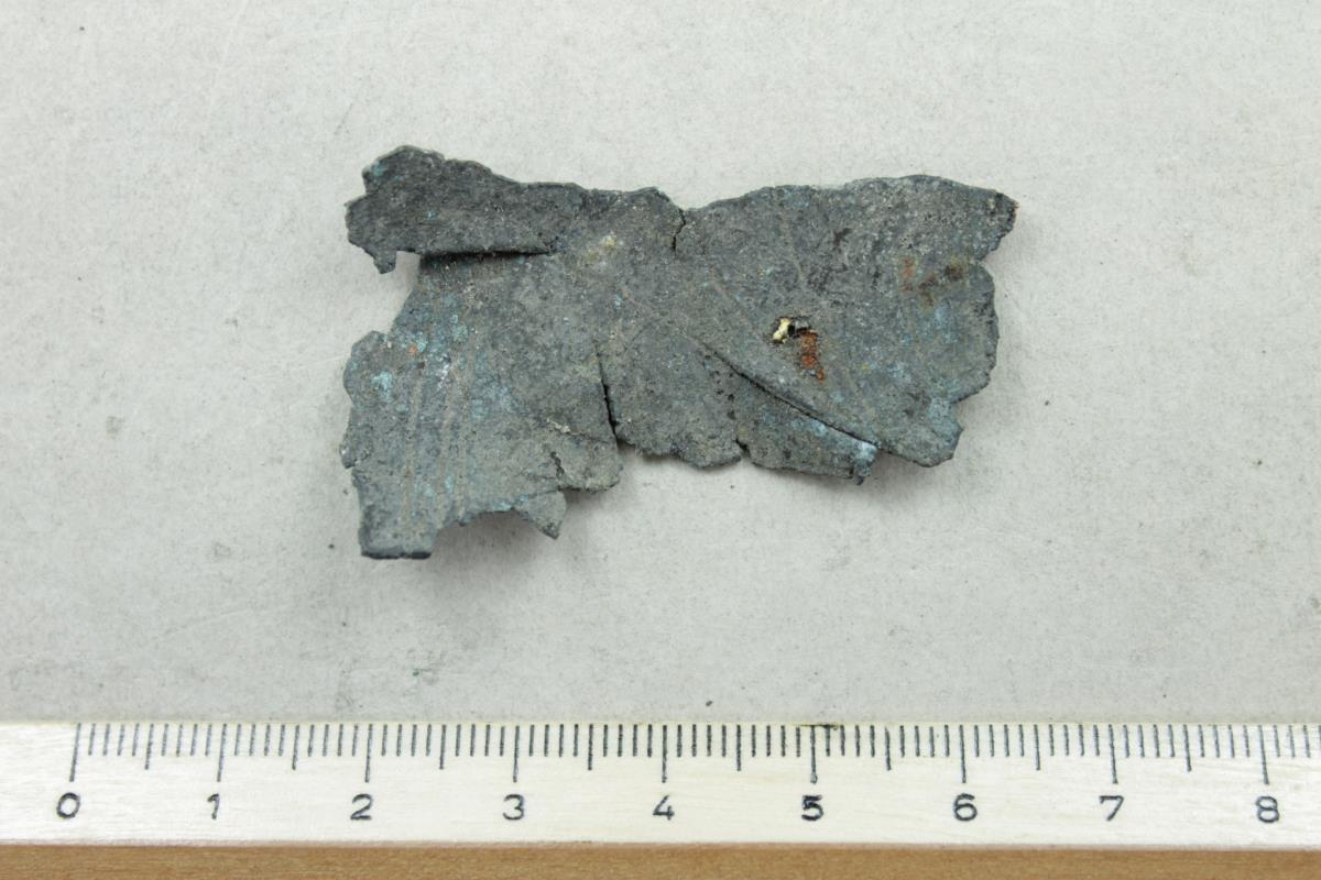Schalenfragment
