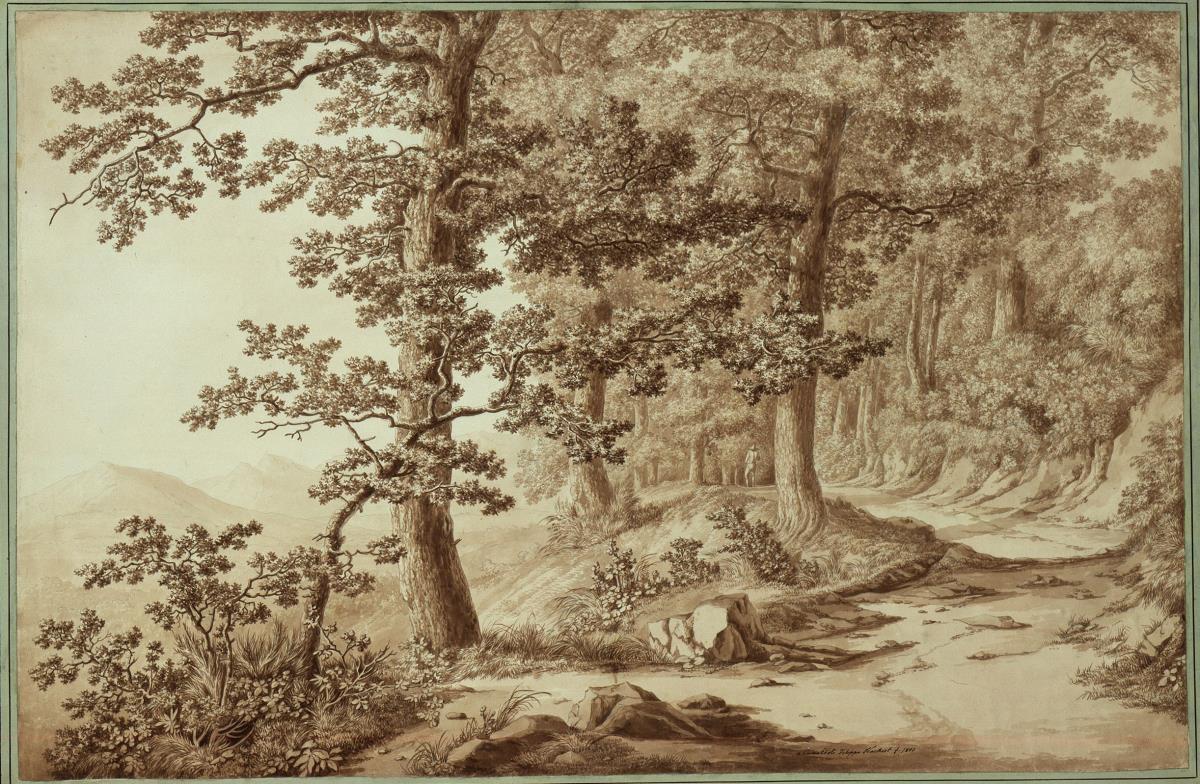 Camaldoli (Waldweg)