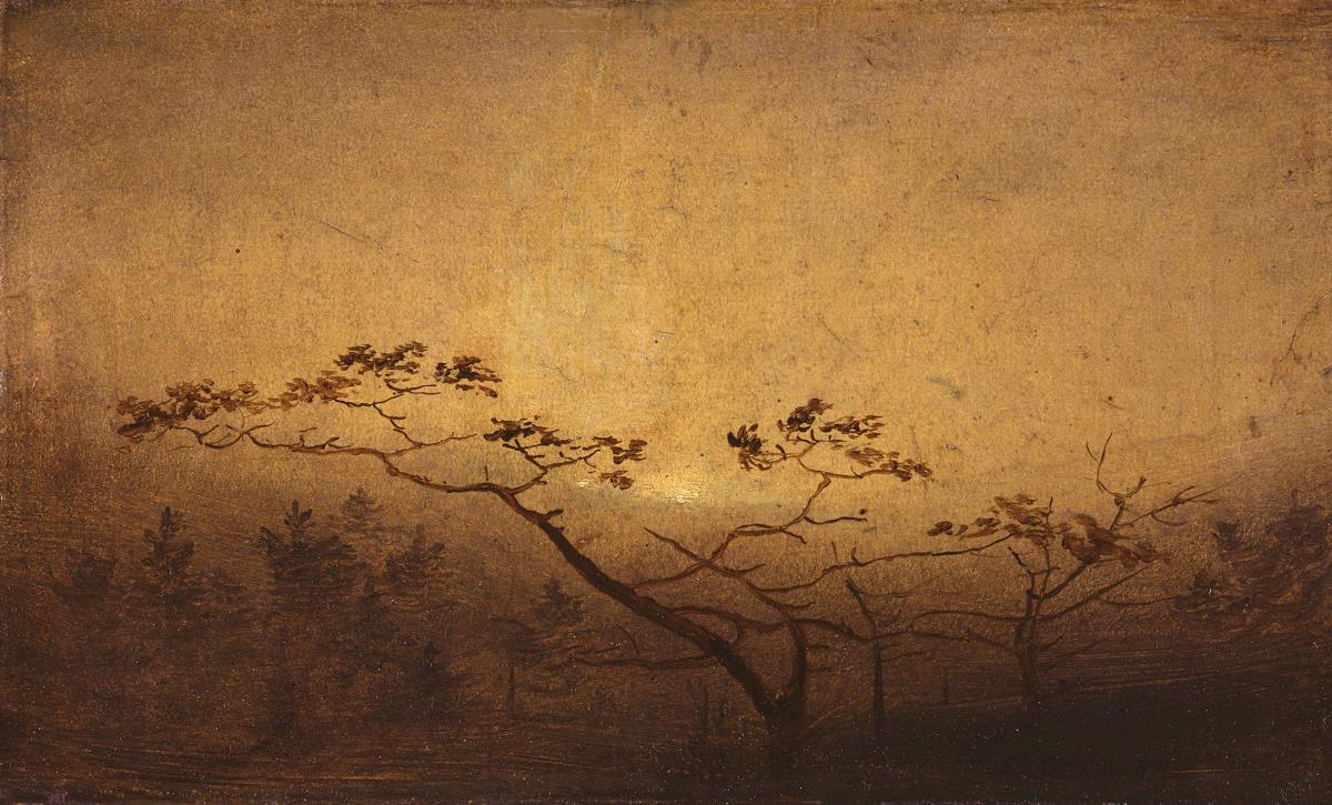 Bäume im Herbst bei Sonnenaufgang