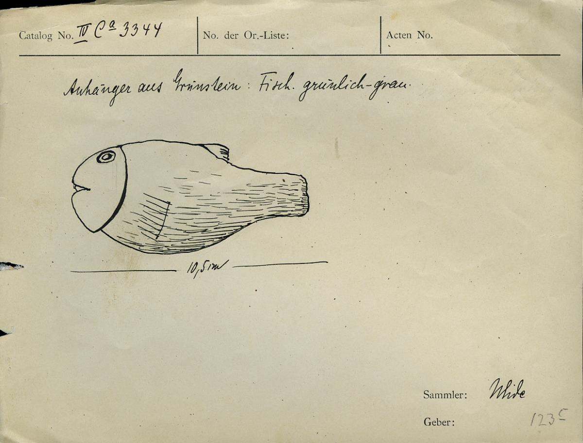 Fisch