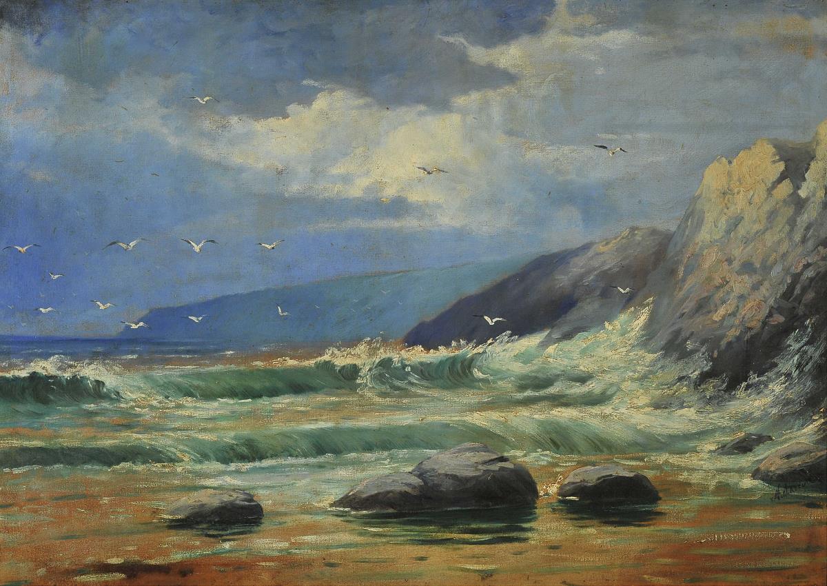 Strand mit Felsen und Seemöwen