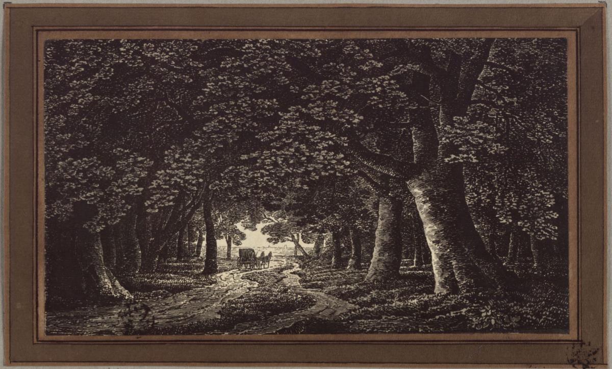Waldweg mit einer Kutsche