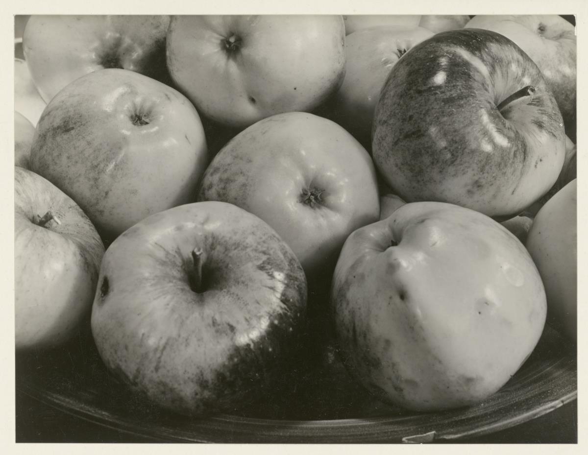 Äpfel