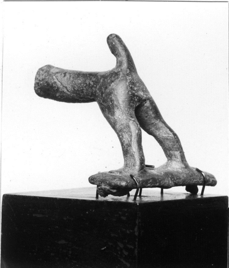 Tier (Hinterteil)