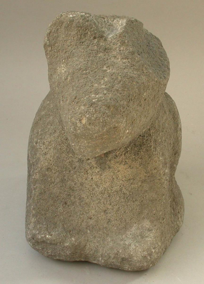 Koyote