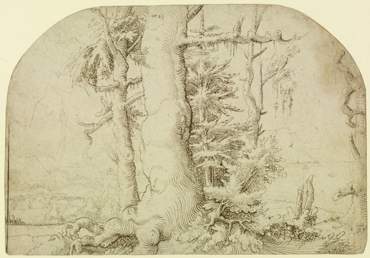 Landschaft mit Eichen