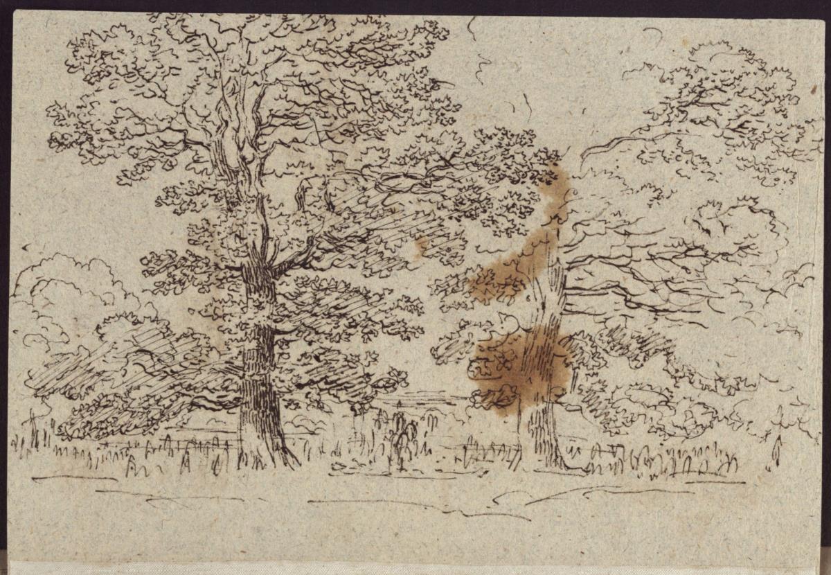 Landschaft mit knorrigen Eichen