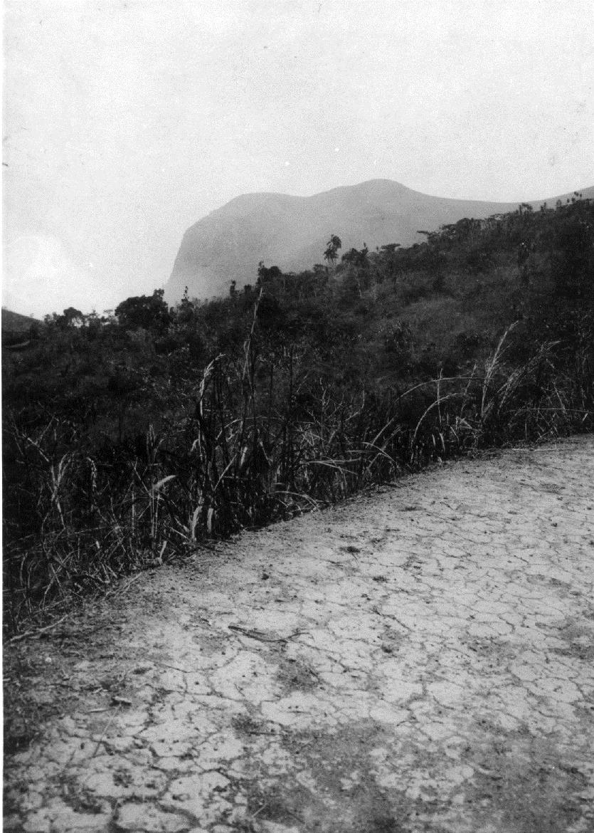 Landschaft (wahrsch. Grasland), ohne Angaben