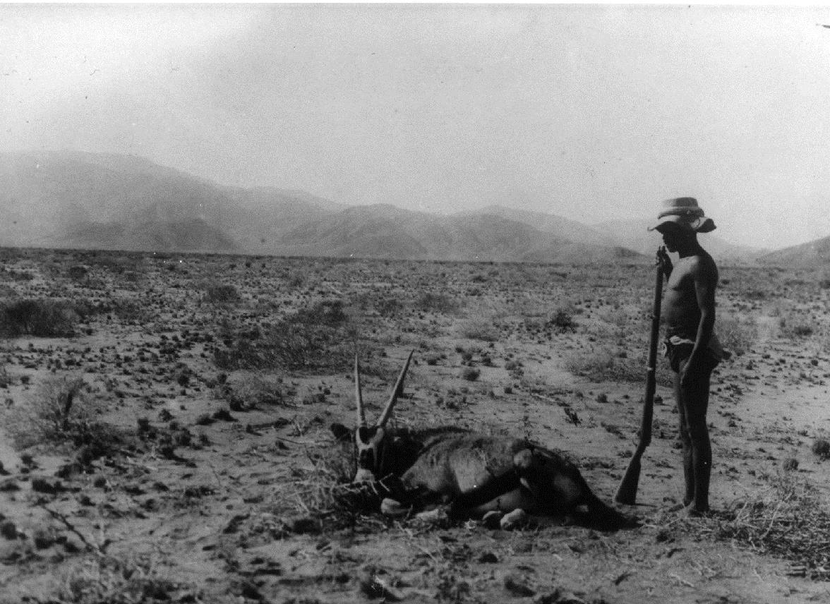 Steppe