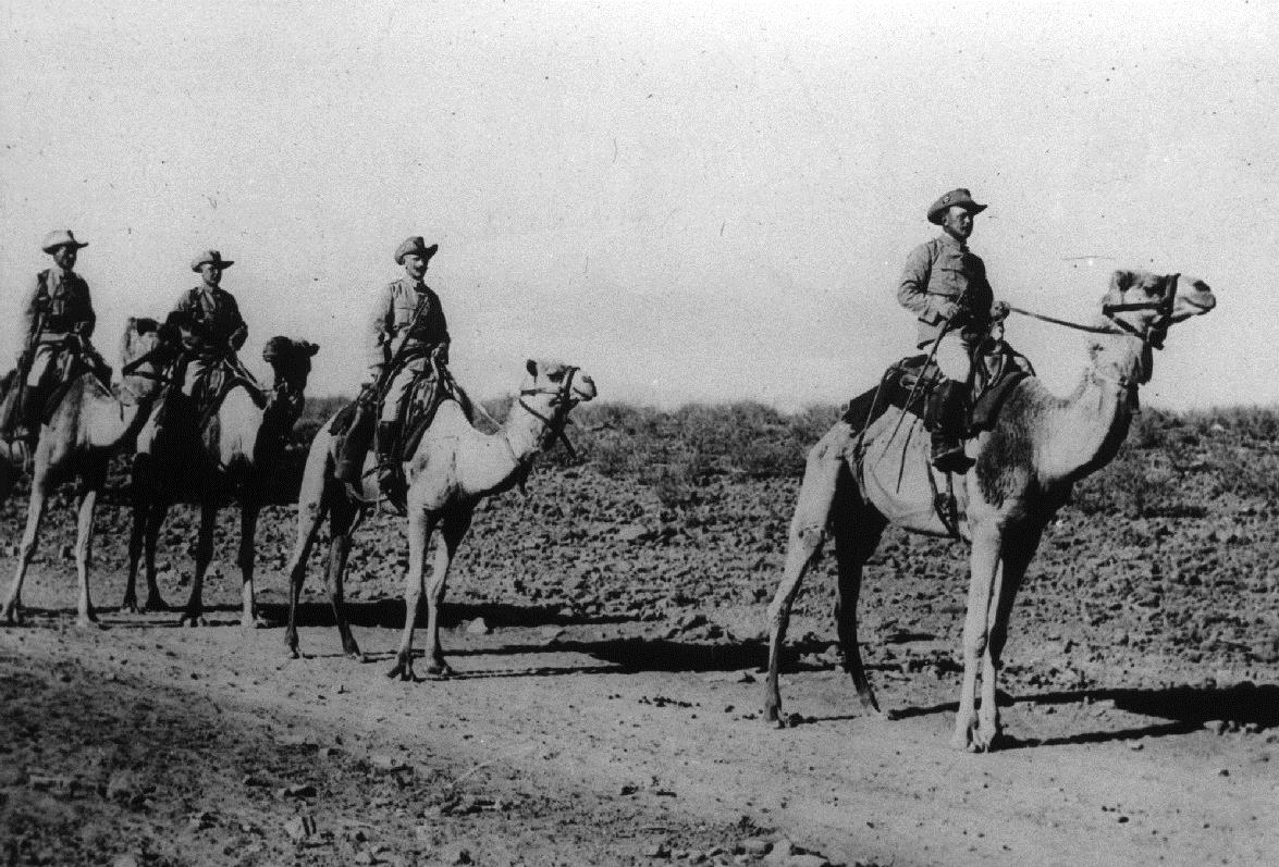 Kamelreiter der Schutztruppe