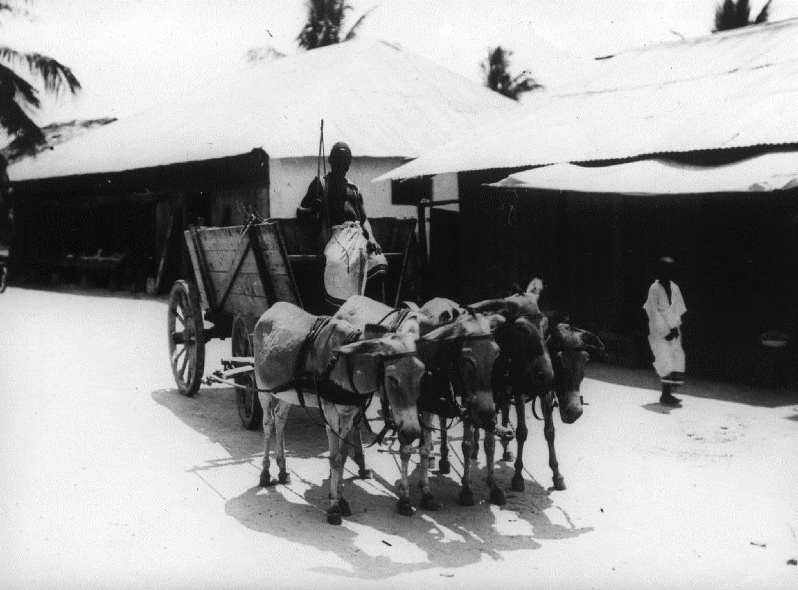 Eselskarren i.d. Strassen v. Daressalam