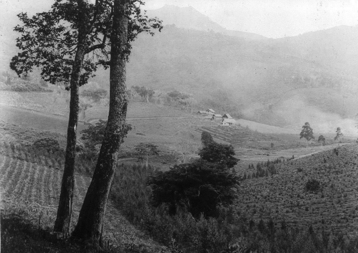 Eine Farm im Gebirge