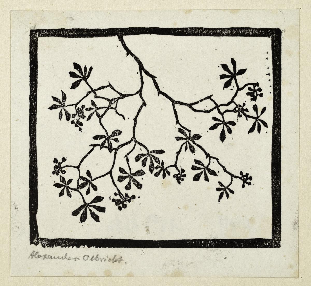Pflanzen und Pflanzenornament