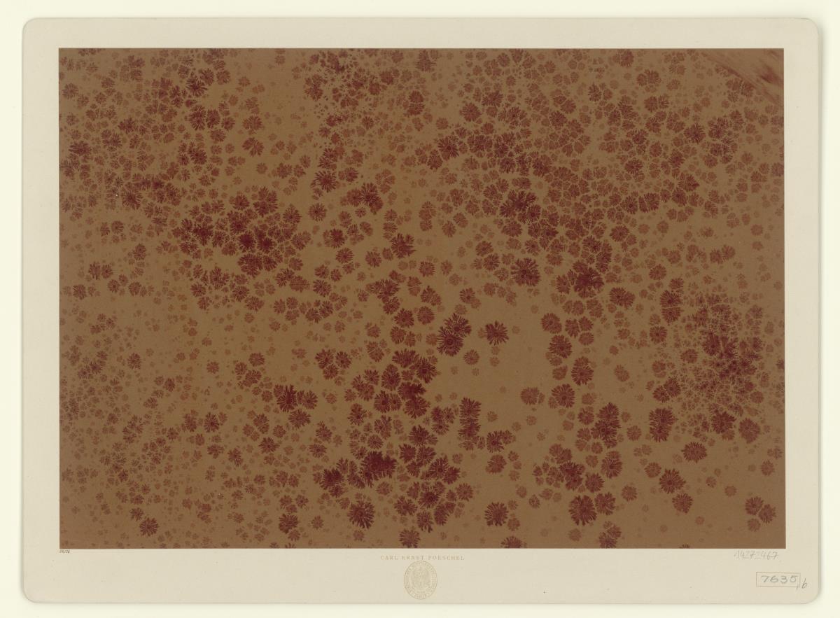 Sprenkelpapier (mit Sonnenmarmormotiv)