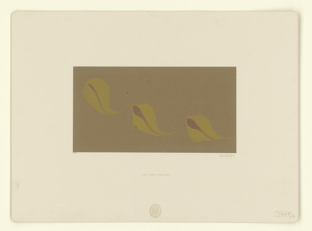 Marmorpapier